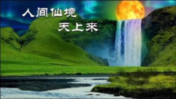 逗小猴开心系列206